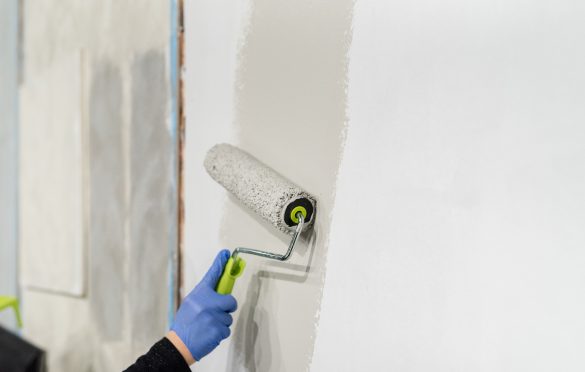 Farbę Jeger Gray Paint aplikuj wałkiem wzdłuż ściany.