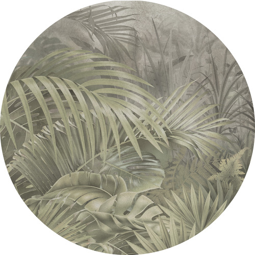 Jeger Tapeta koło Amazonia