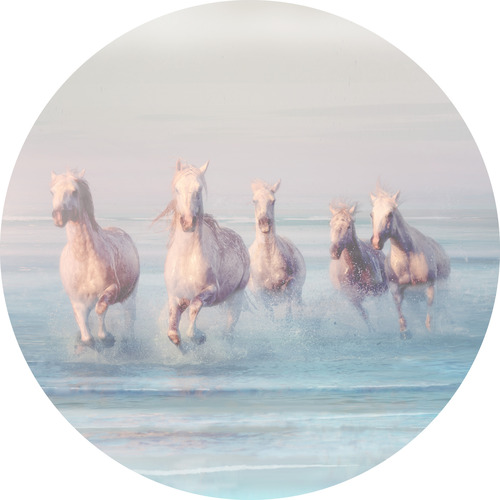 Jeger Tapeta koło Artemida