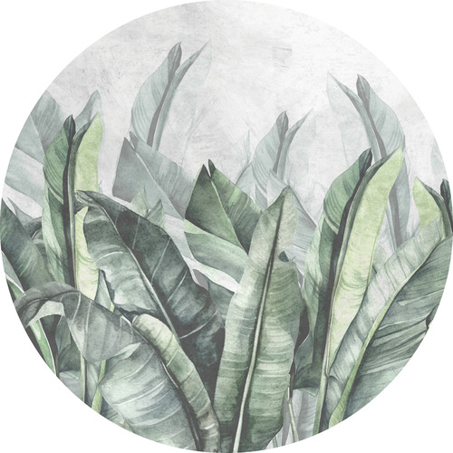 Jeger Tapeta koło Banana