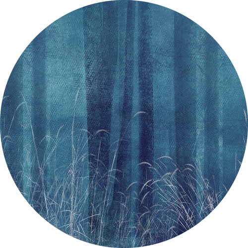 Jeger Tapeta koło Blue