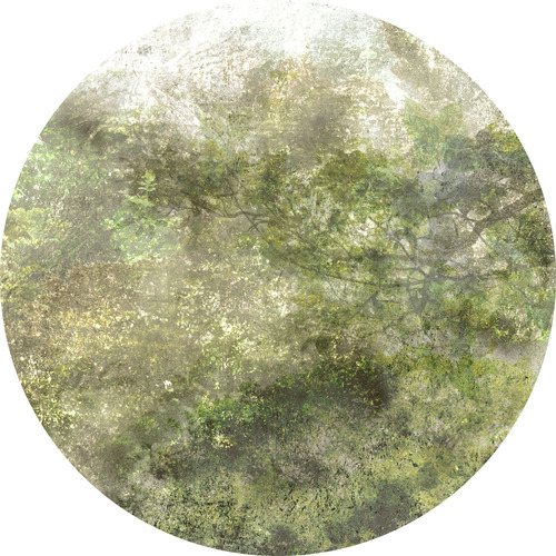 Jeger Tapeta koło Grove