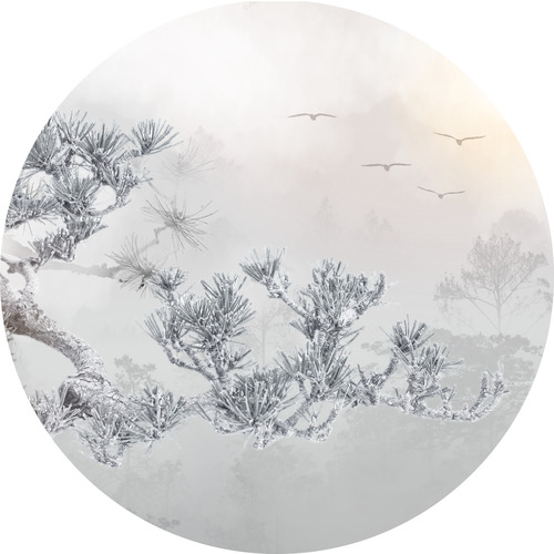 Jeger Tapeta koło Hida