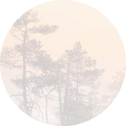 Jeger Tapeta koło Hinode