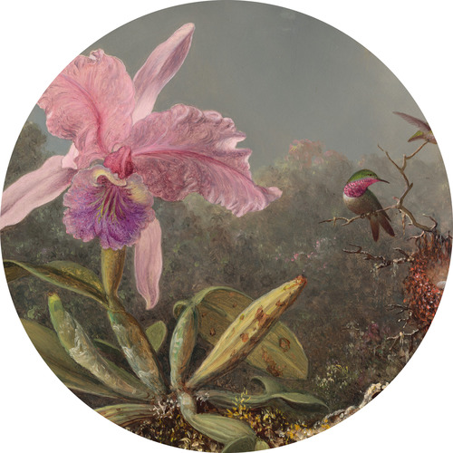 Jeger Tapeta koło Magic