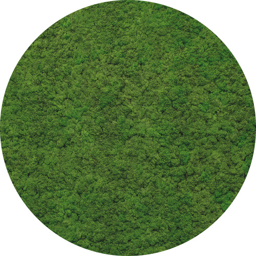 Jeger Tapeta koło Moss