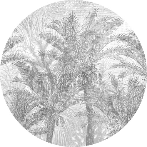 Jeger Tapeta koło Palms