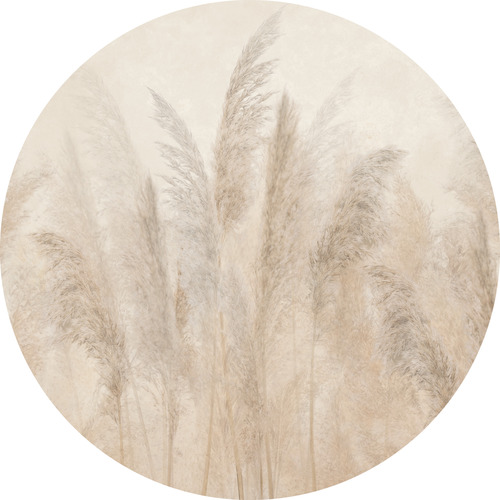 Jeger Tapeta koło Pampas