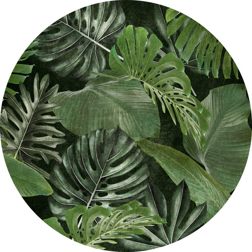 Jeger Tapeta koło Tropical