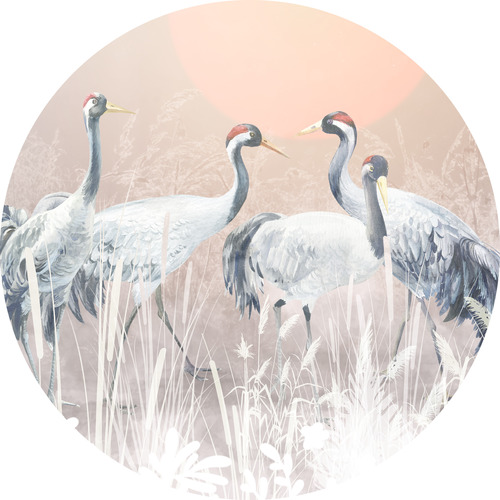 Jeger Tapeta koło Tsuru