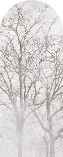 Jeger Tapeta Łuk Arbor