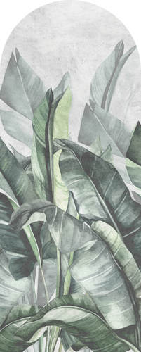 Jeger Tapeta łuk Banana