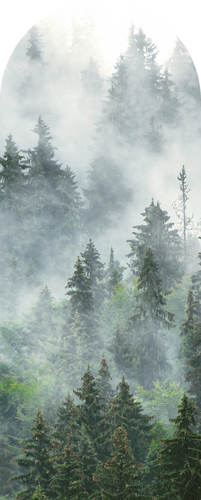 Jeger Tapeta Łuk Forest