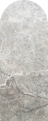 Jeger Tapeta łuk Gray Fog