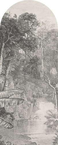 Jeger Tapeta łuk Jungle