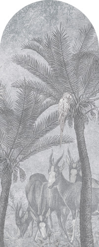 Jeger Tapeta łuk Kongo