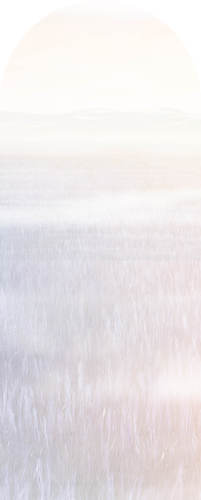 Jeger Tapeta łuk Lavender