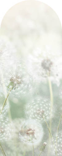 Jeger Tapeta łuk Meadow