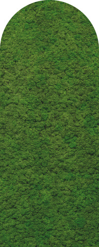 Jeger Tapeta łuk Moss