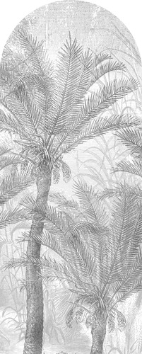 Jeger Tapeta łuk Palms