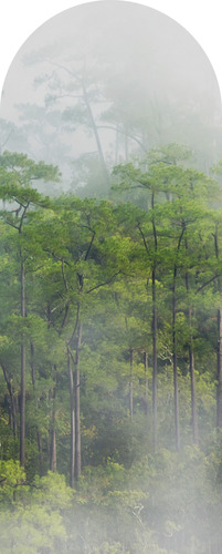 Jeger Tapeta łuk Rain