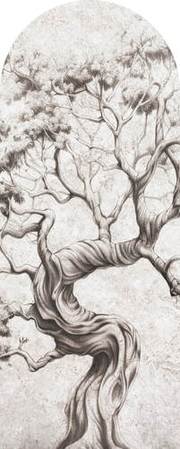 Jeger Tapeta łuk Timber