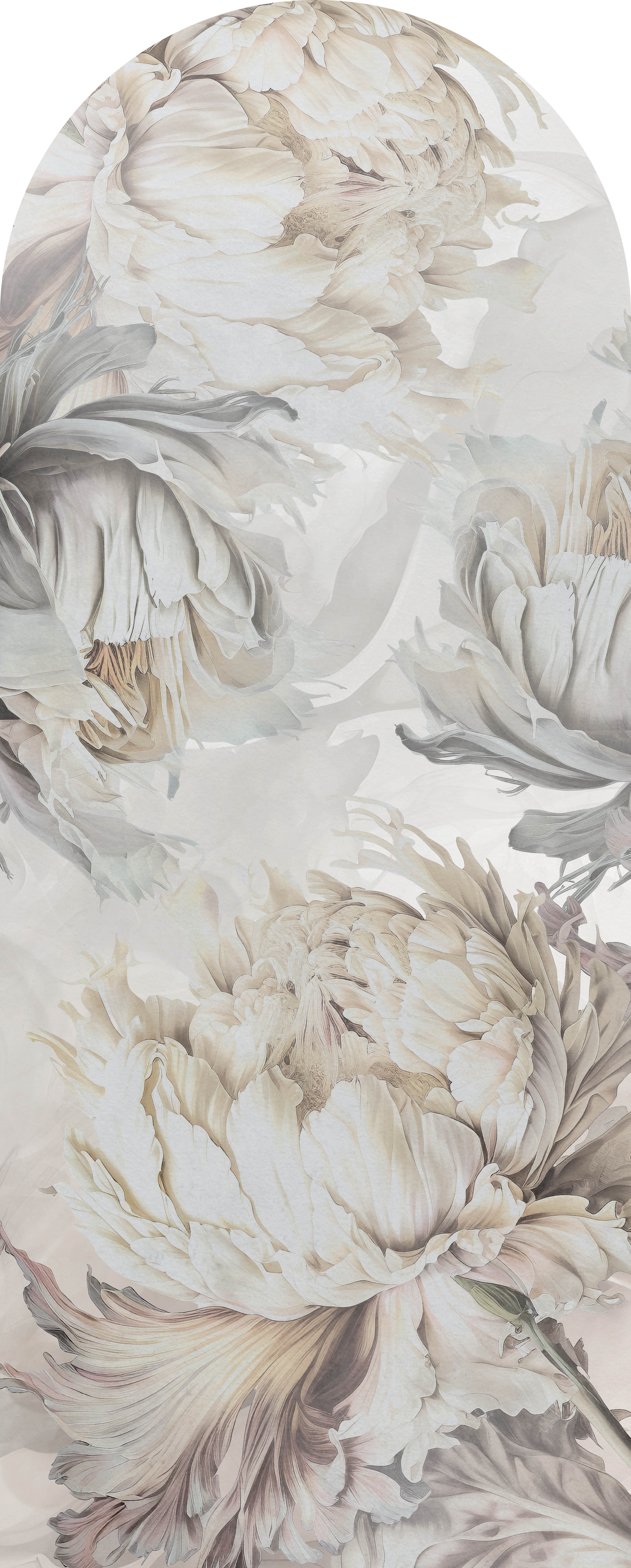 Jeger Tapeta łuk Aster