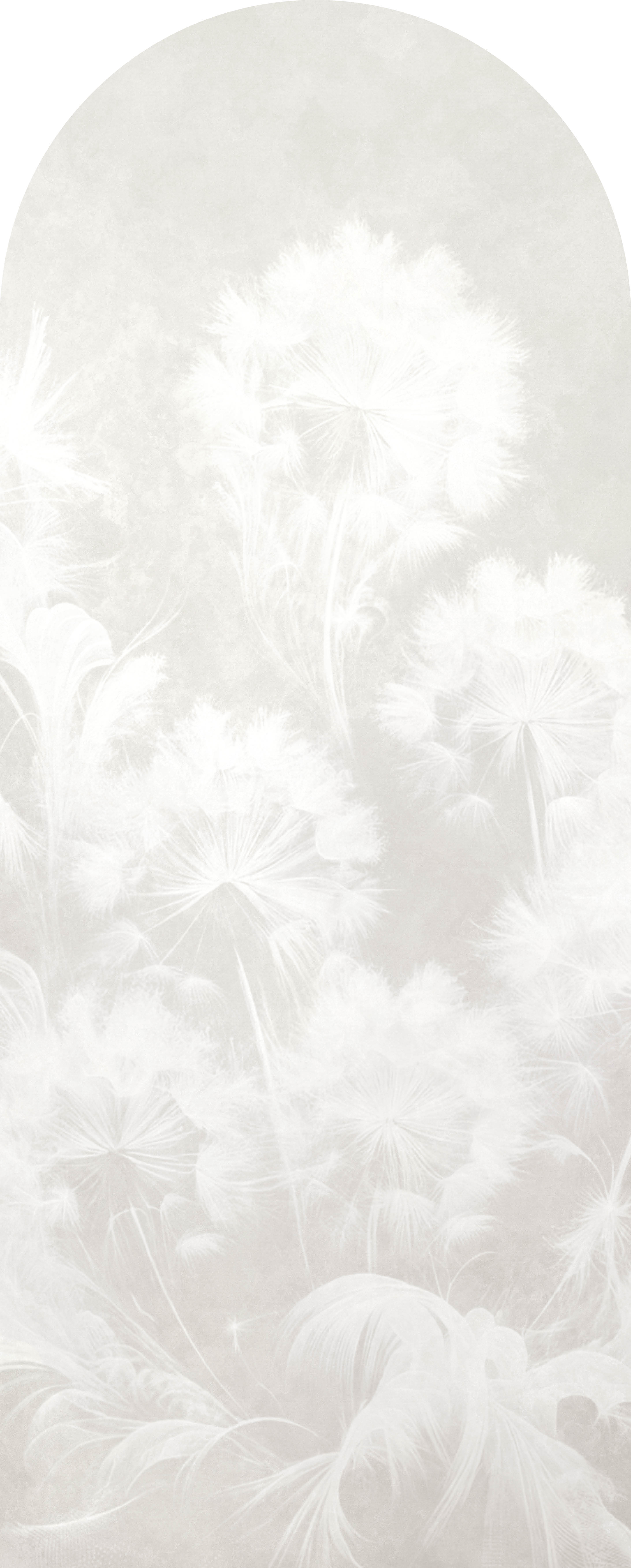 Jeger Tapeta łuk Breeze