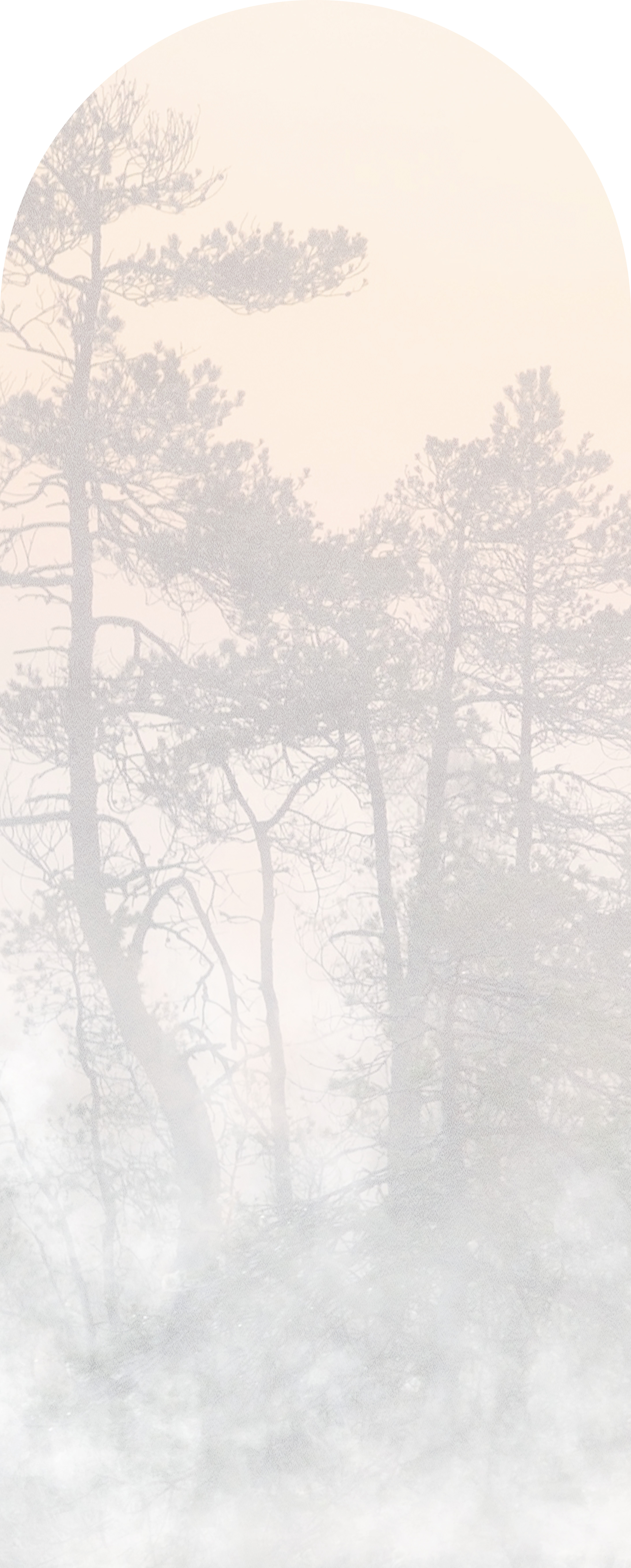 Jeger Tapeta łuk Hinode