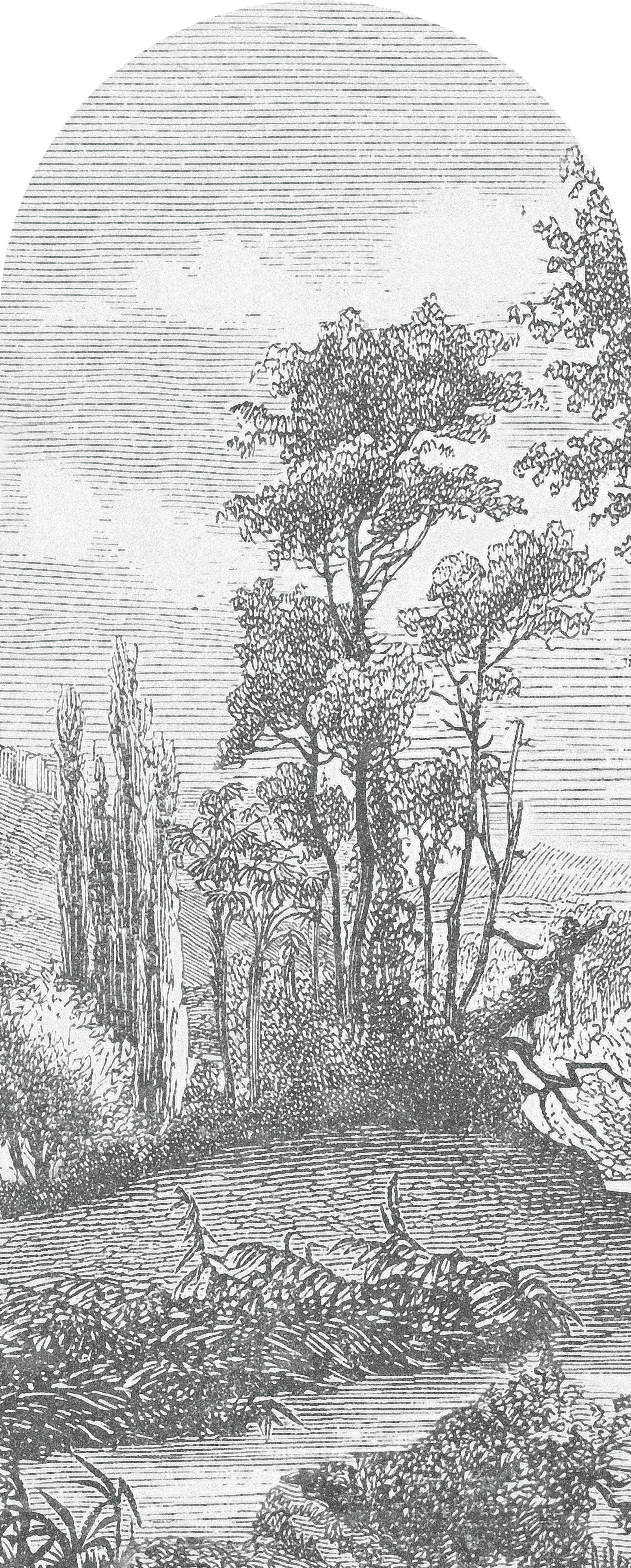 Jeger Tapeta łuk Landscape