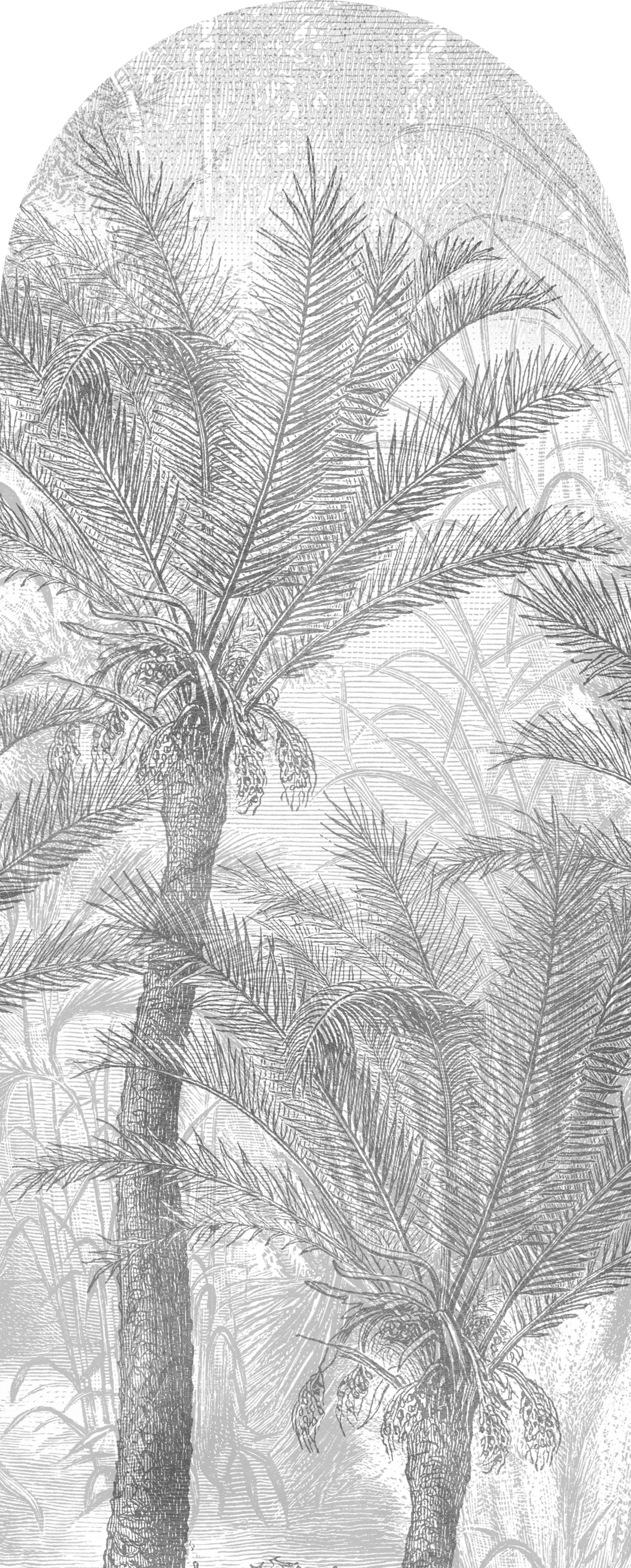 Jeger Tapeta łuk Palms