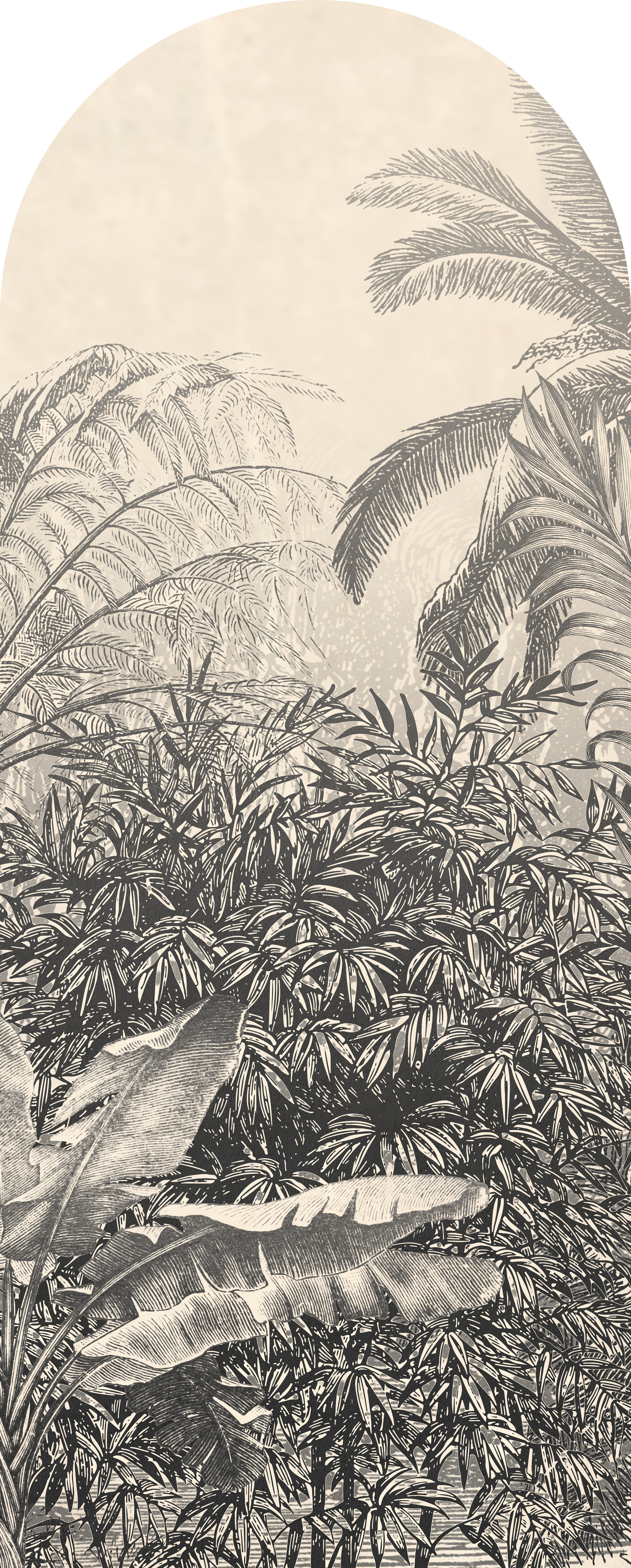 Jeger Tapeta łuk Woodcut