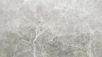 Jeger Tapeta Mural Gray Fog