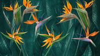 Jeger Tapeta Mural Strelitzia