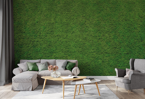 Jeger Tapeta Mural Moss inspiracja