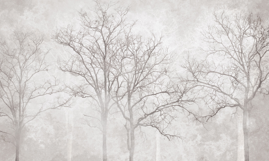 Jeger Tapeta Mural Arbor