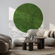 Jeger Tapeta Koło Moss wizualizacja