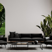 Jeger Tapeta Łuk Tropical wizualizacja