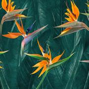 Jeger Tapeta Mural Strelitzia