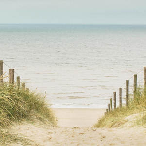 Jeger Tapeta łuk Baltic