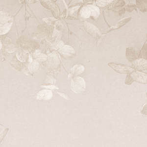 Jeger Tapeta łuk Beige