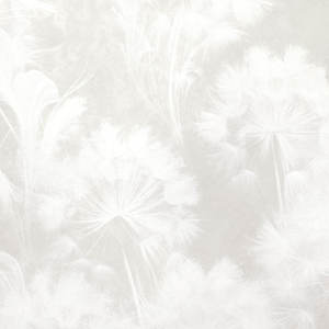 Jeger Tapeta łuk Breeze