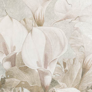 Jeger Tapeta łuk Calia