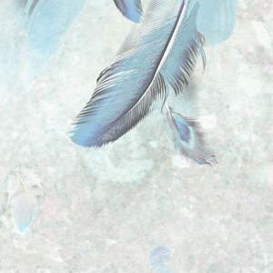 Jeger Tapeta łuk Fly