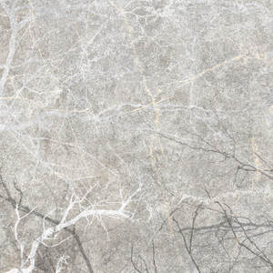 Jeger Tapeta łuk Gray Fog