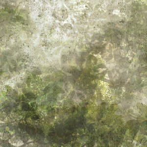 Jeger Tapeta łuk Grove