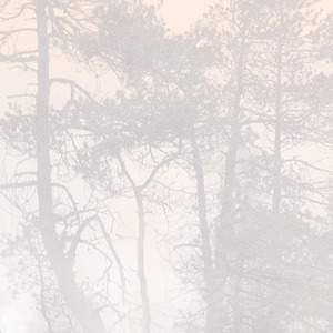 Jeger Tapeta łuk Hinode