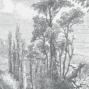 Jeger Tapeta łuk Landscape