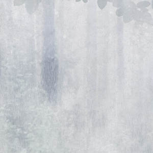 Jeger Tapeta łuk Misty