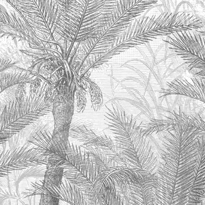 Jeger Tapeta łuk Palms